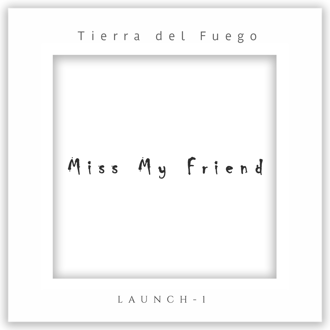 Music - Miss My Friend