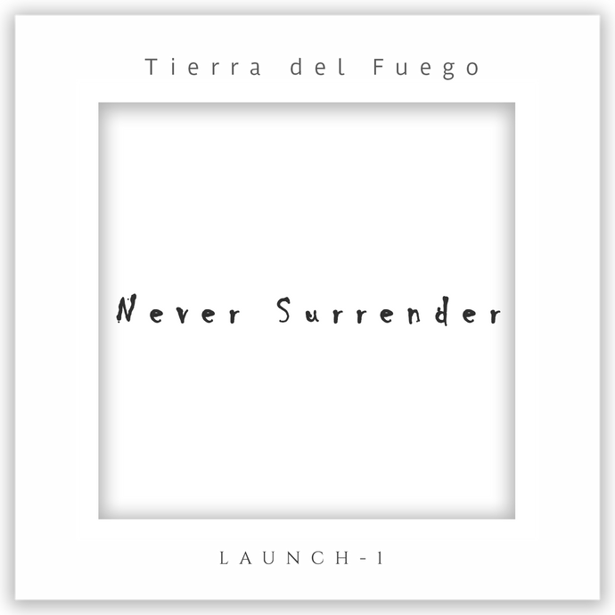 Music - Never Surrender